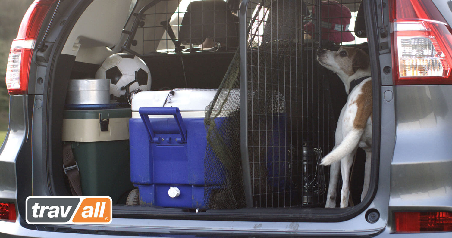 Travall Guard Hundegitter und Travall Divider Laderaumteiler im Kofferraum des Autos