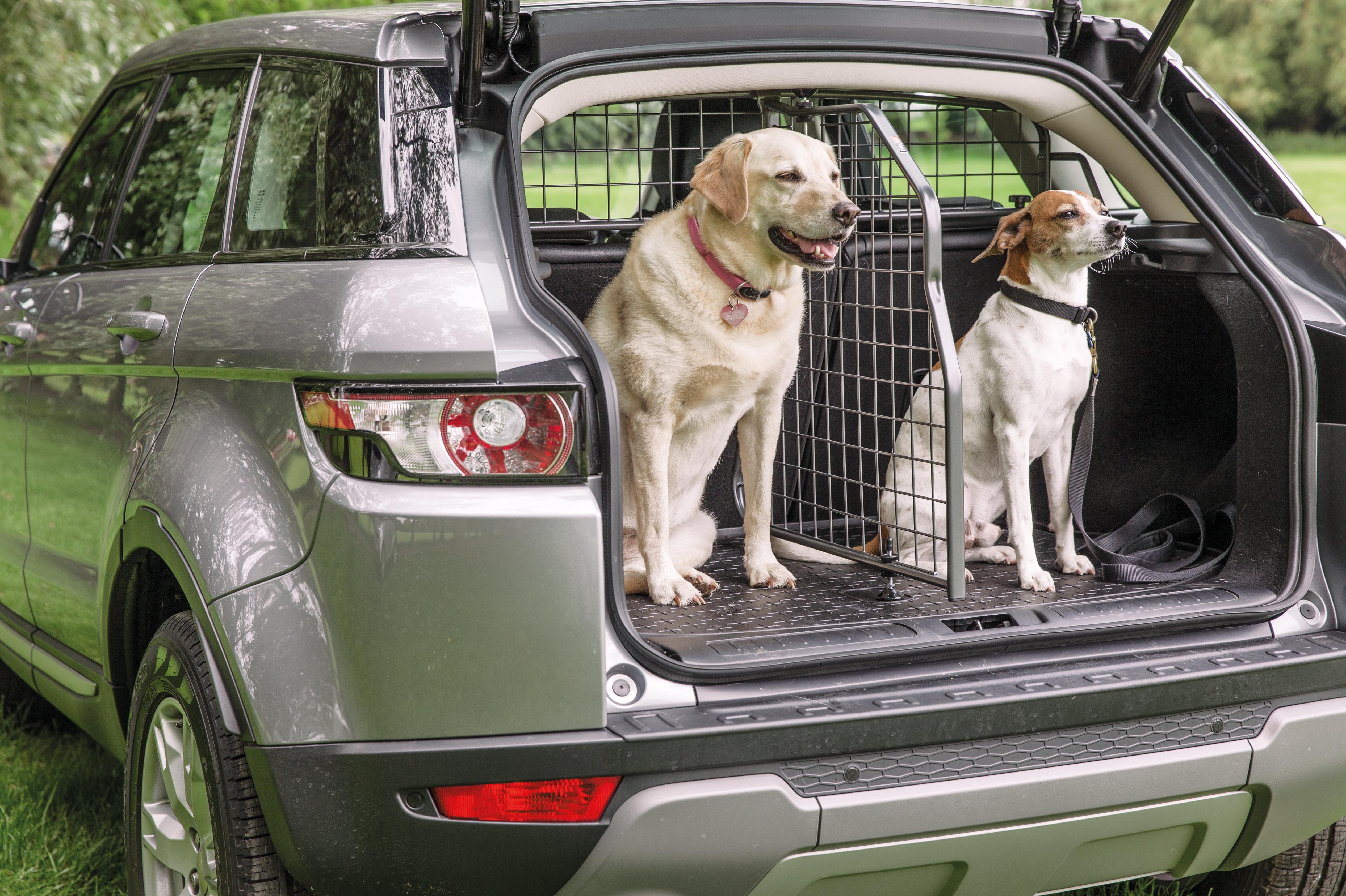 Der Travall Guard hat den Vorteil, dass für viele Automodelle auch noch ein passender Laderaumteiler nachgerüstet werden kann. Mit diesem Längs-Trenngitter könnt ihr dann beispielsweise euren Hund und Gepäck gleichzeitig im Kofferraum transportieren.