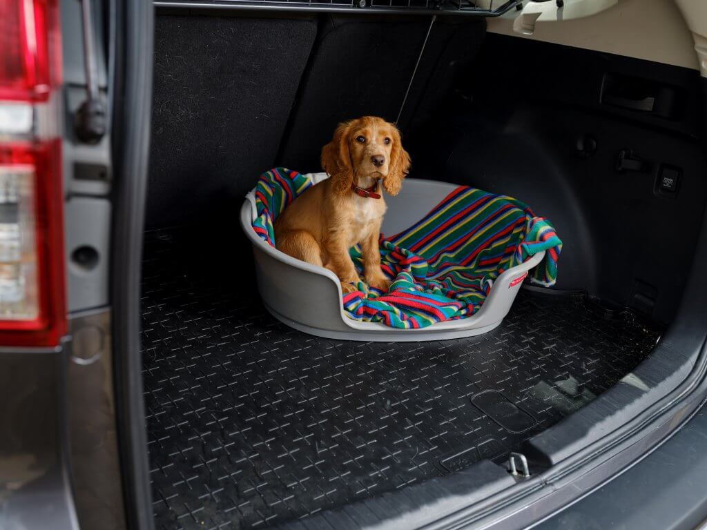 Die besten Autos für Hundebesitzer müssen natürlich auch für Welpen gut geeignet sein, denn die kleinen Hunde sollen es im Auto besonders bequem haben.