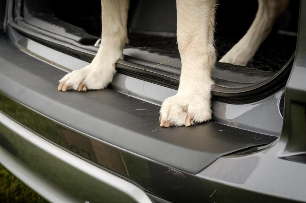 Die Hundepfoten auf der Ladekante können ärgerliche Kratzer hinterlassen, denn Hunde können ihre Krallen bekanntlich nicht einziehen. Nutzt man einen Ladekantenschutz, beugt dieser Beschädigungen vor. Der Travall Protector ist in ABS-Kunststoff oder Edelstahl erhältlich.