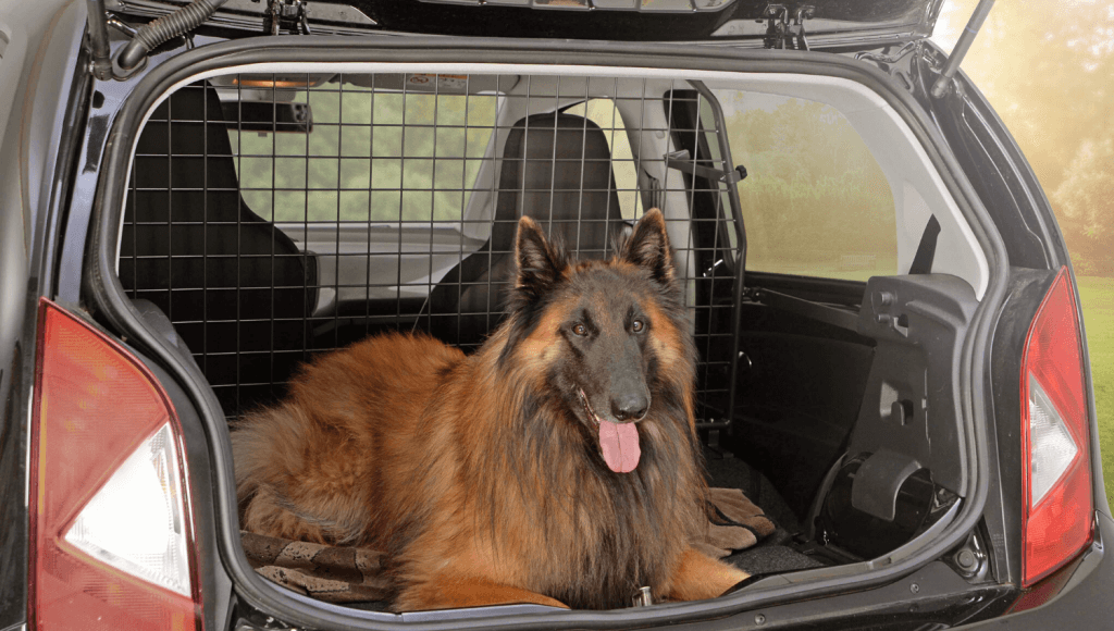 Travall hat viele Hundegitter für kleine Autos in Sortiment aufgenommen. So gibt es zum Beispiel ein Hundegitter nach Maß für VW up!, SEAT Mii und Skoda Citigo ab Baujahr 2011. Bei diesem Produkt handelt es sich um ein Hundegitter hinter den Vordersitzen, damit der Hund genug Platz im Auto hat.