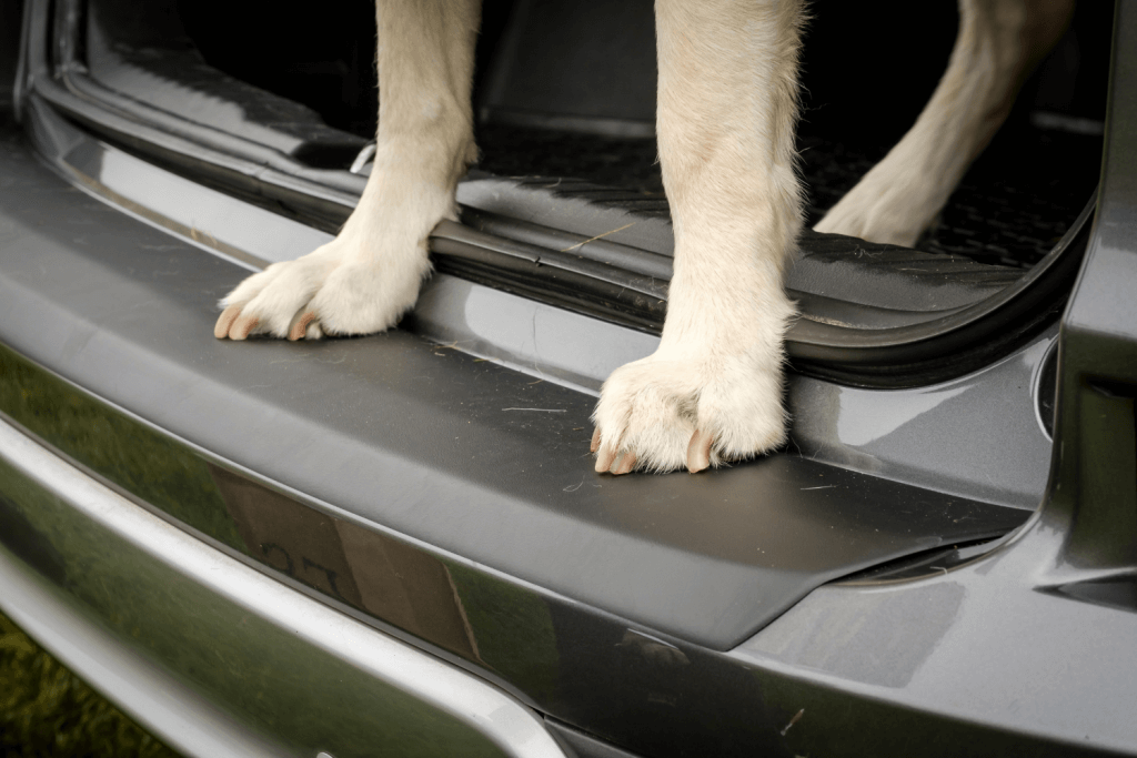 Wenn ein Hund mit seinen Krallen auf der Ladekante im Auto steht, dann kann er den Lack beschädigen. Der Travall Protector Ladekantenschutz für VW T-Cross verhilft dem Auto wieder zu tadellosem Aussehen.