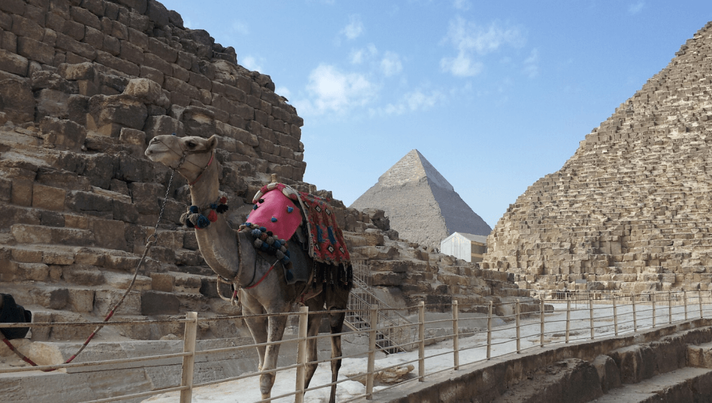 Für eine Urlaub im Oktober empfehlen wir Ägypten, da es nicht so heiß ist wie im Sommer. Hier kann man zum Beispiel auf einem Kamel reiten und die Pyramiden von Gizeh besichtigen. © Pixabay.com