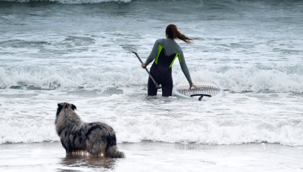 Viele Hunde gehen auch im Winter gern schwimmen und würden sich über SUP mit Hund sicher freuen. © iStock.com