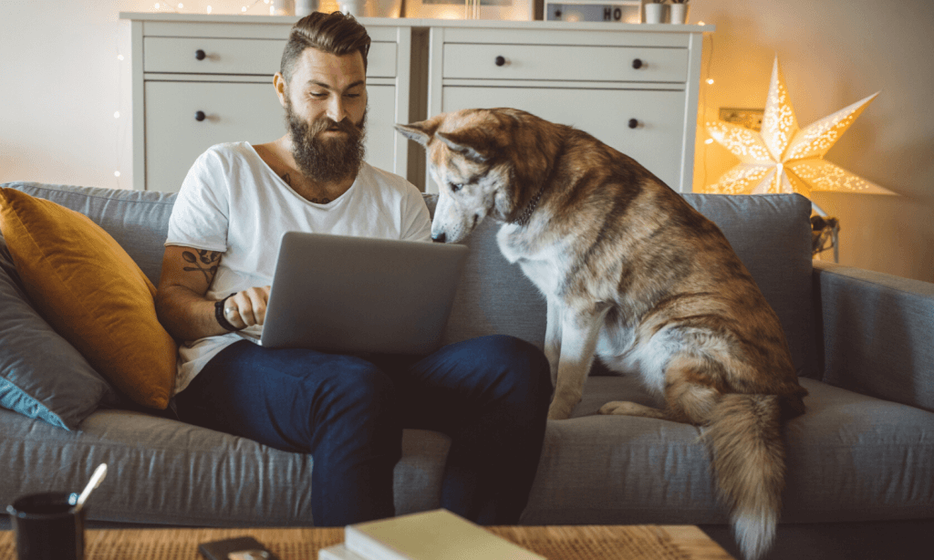 Der Hund ist bei der Urlaubsplanung für die Sommerferien dabei und schaut interessiert auf den Laptop seines Herrchens. © iStock.com