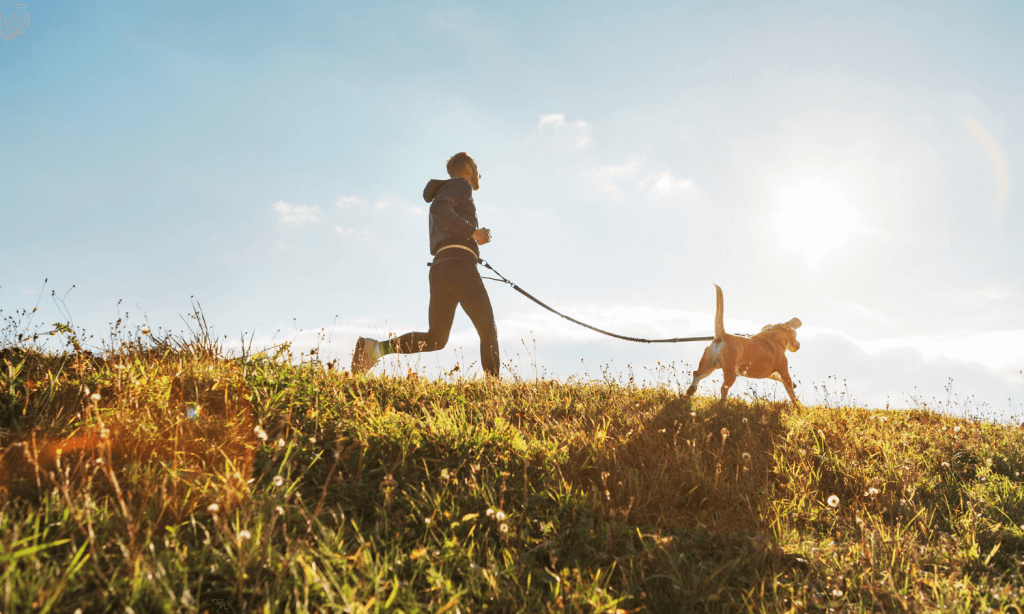 Canicross ist ein Geländelaufsport mit Hund, bei dem der Läufer über eine flexible Leine mit dem Hund verbunden ist und so vom Tier gezogen wird. Der diesjährige Schalttag kann prima für ein Probetraining genutzt werden. © iStock.com