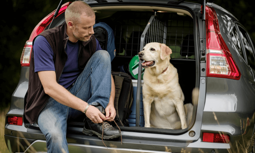 Der Travall Protector ist ein fahrzeugspezifischer Ladekantenschutz aus ABS-Kunststoff, der den Lack abdeckt und vor Schäden durch Hundekrallen, Gepäck oder Stiefel bewahrt. © Travall