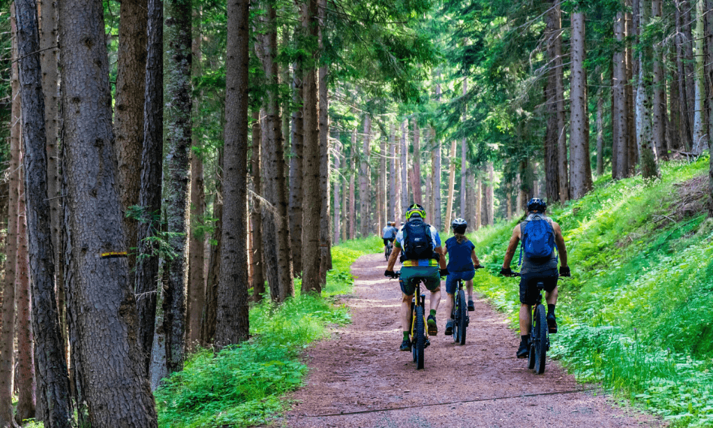 Wo-Mountainbike-fahren-in-Deutschland-1024x614.png