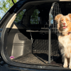 Hunde im E-Auto sicher transportieren: ganz einfach mit Travall
