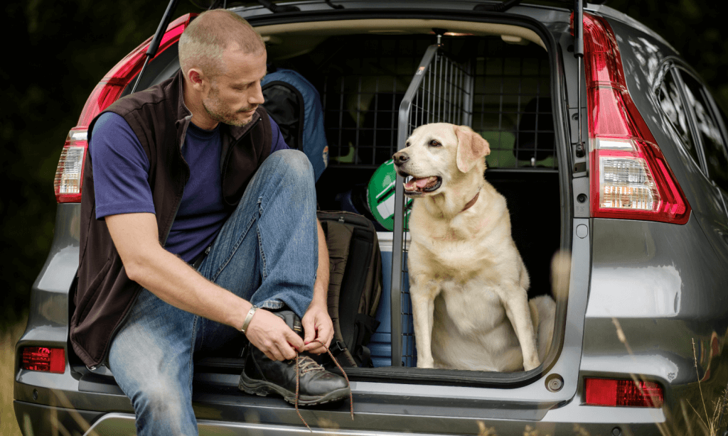 Wer mit dem Auto zum Hundestrand fährt, sollte Autozubehör von Travall nachrüsten. Im Onlineshop werden fahrzeugspezifische Hundegitter, Kofferraum-Längsteiler, Kofferraumwannen und vieles mehr vertrieben. © Travall