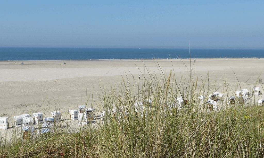 Im Nationalpark Wattenmeer können Urlauber im Strandkorb liegen, Wattwanderungen machen oder an Tagesausflügen mit dem Kutter teilnehmen. © Pixabay.com