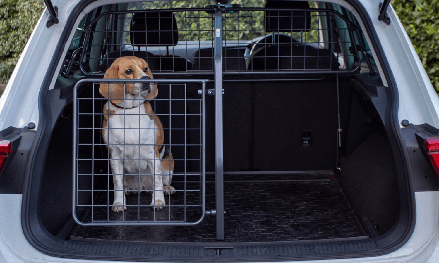 Alt text: Der Kurztrip mit Hund kann starten: Neben dem Hund im Kofferraum ist dank Trenngitter von Travall ausreichend Platz für Koffer und anderes Gepäck. © Travall