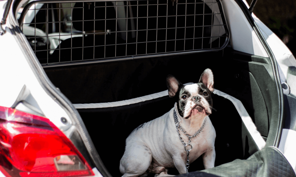 Hunde-Autobarriere, ausbruchsicher, 142,2 cm breit, Auto-Trennwand für 2.  und 3. Reihe und Laderaum, langlebige Rücksitz-Auto-Tor-Kofferraum-Barriere
