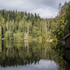 Unsere Top 4 der schönsten deutschen Wälder