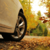 Herbstwetter: Das Auto mit dem Travall Sortiment vor Schäden schützen