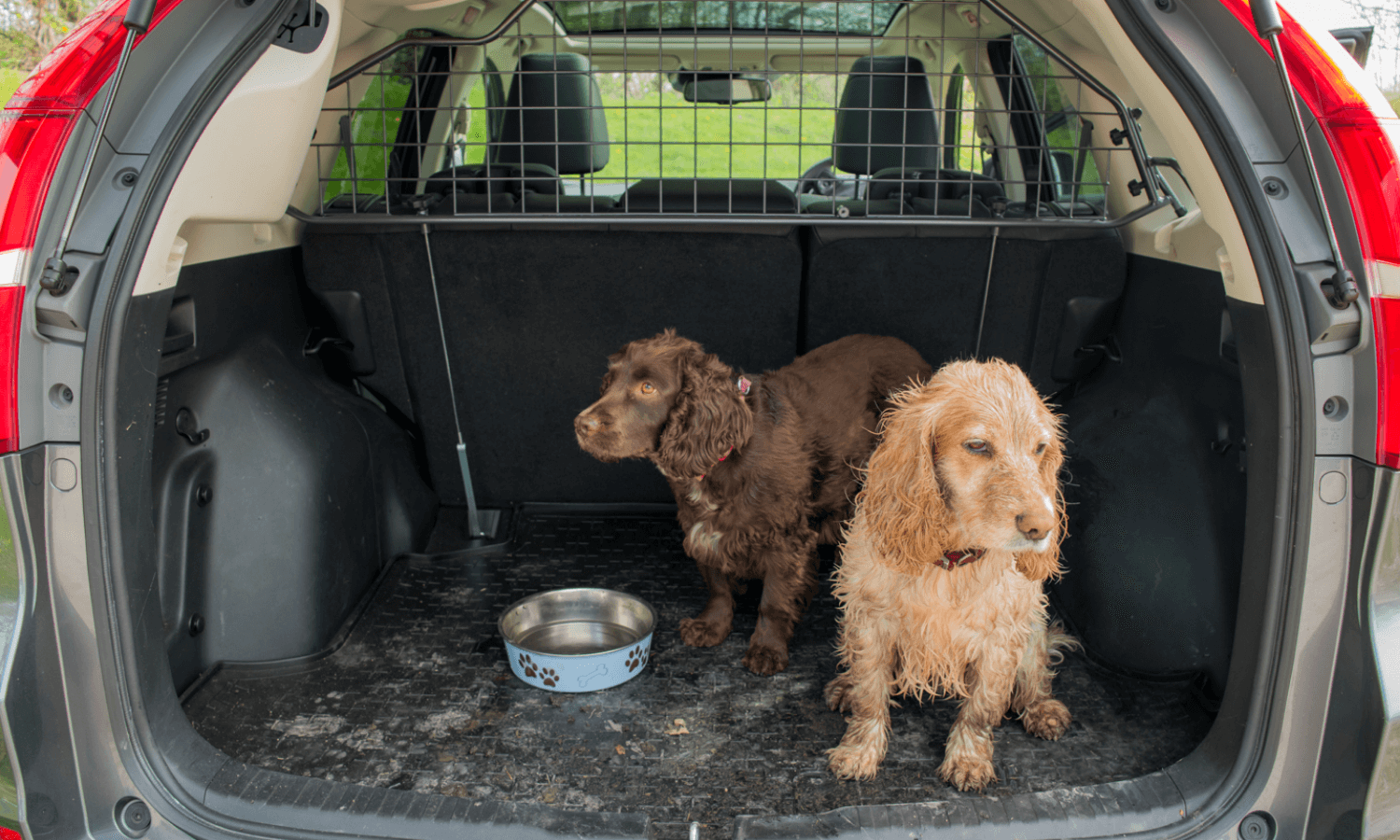 Eine Kofferraumwanne von Travall ist die ideale Lösung für alle, die ihren Hund im Auto transportieren. Die Gummiwanne verhindert Flecken und Abnutzung im Heck. © Travall