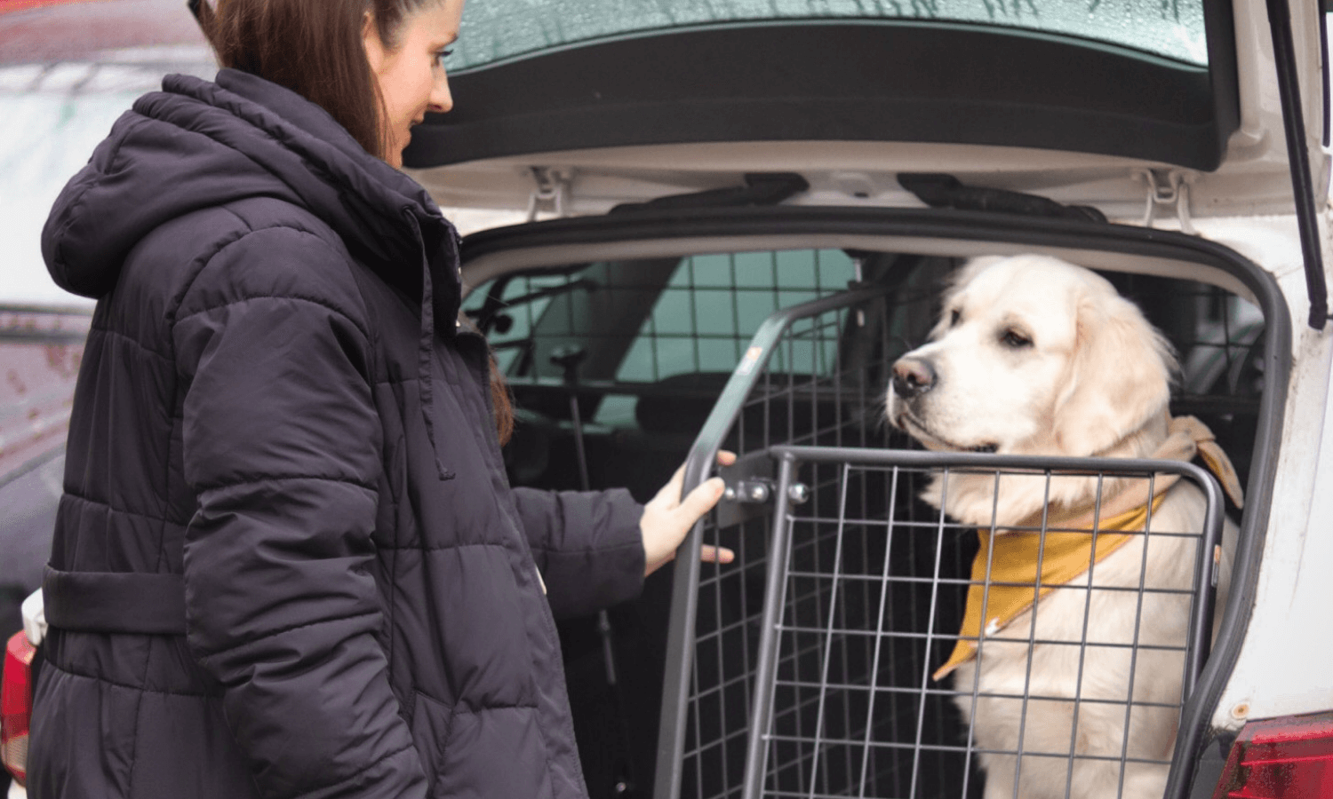 Mit Baby und Hund im Auto unterwegs: Reisen ohne Platzprobleme