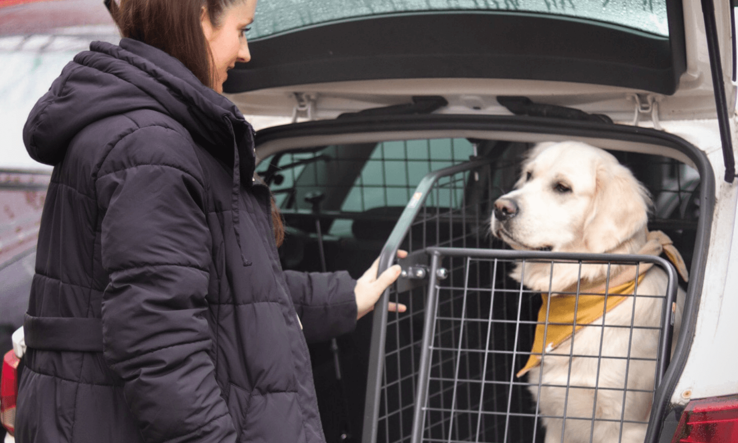 Mit Baby und Hund im Auto unterwegs Reisen ohne Platzprobleme