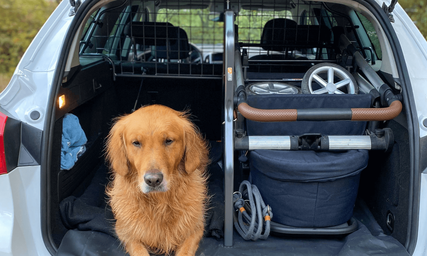 Mit dem Divider kann man den Hund auf der einen und Kinderwagen, Taschen oder weiteres Gepäck auf der anderen Seite des Kofferraums im Auto unterbringen. So ist das Fahrzeug für Baby und Hund bestens ausgestattet. © Travall