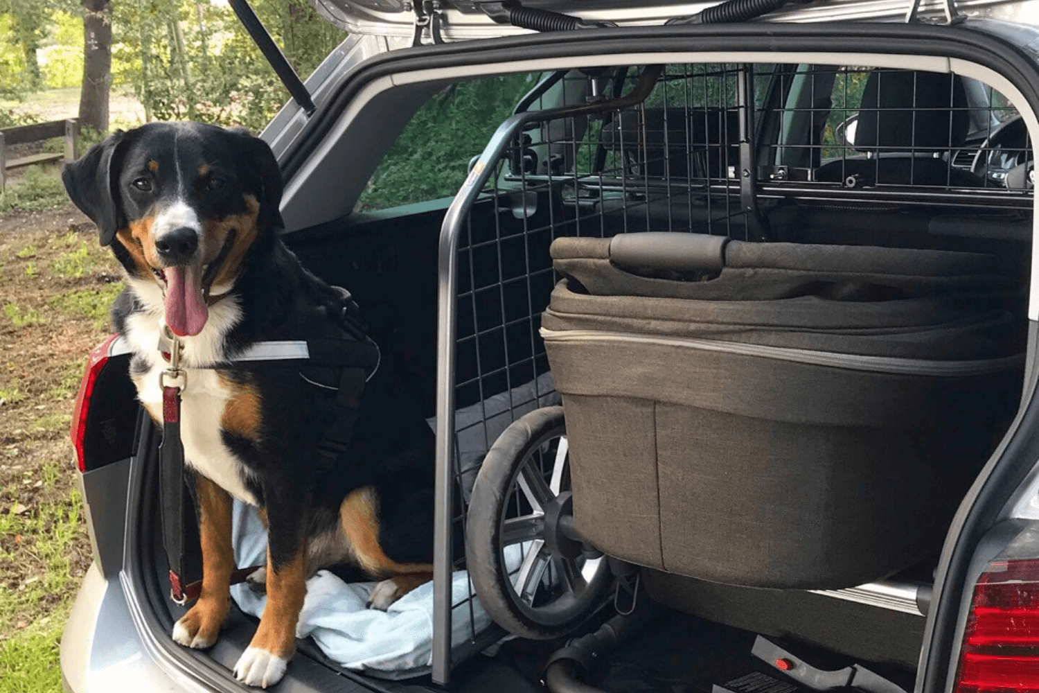 Mit Baby und Hund im Auto unterwegs: Reisen ohne Platzprobleme - Travall  Blog