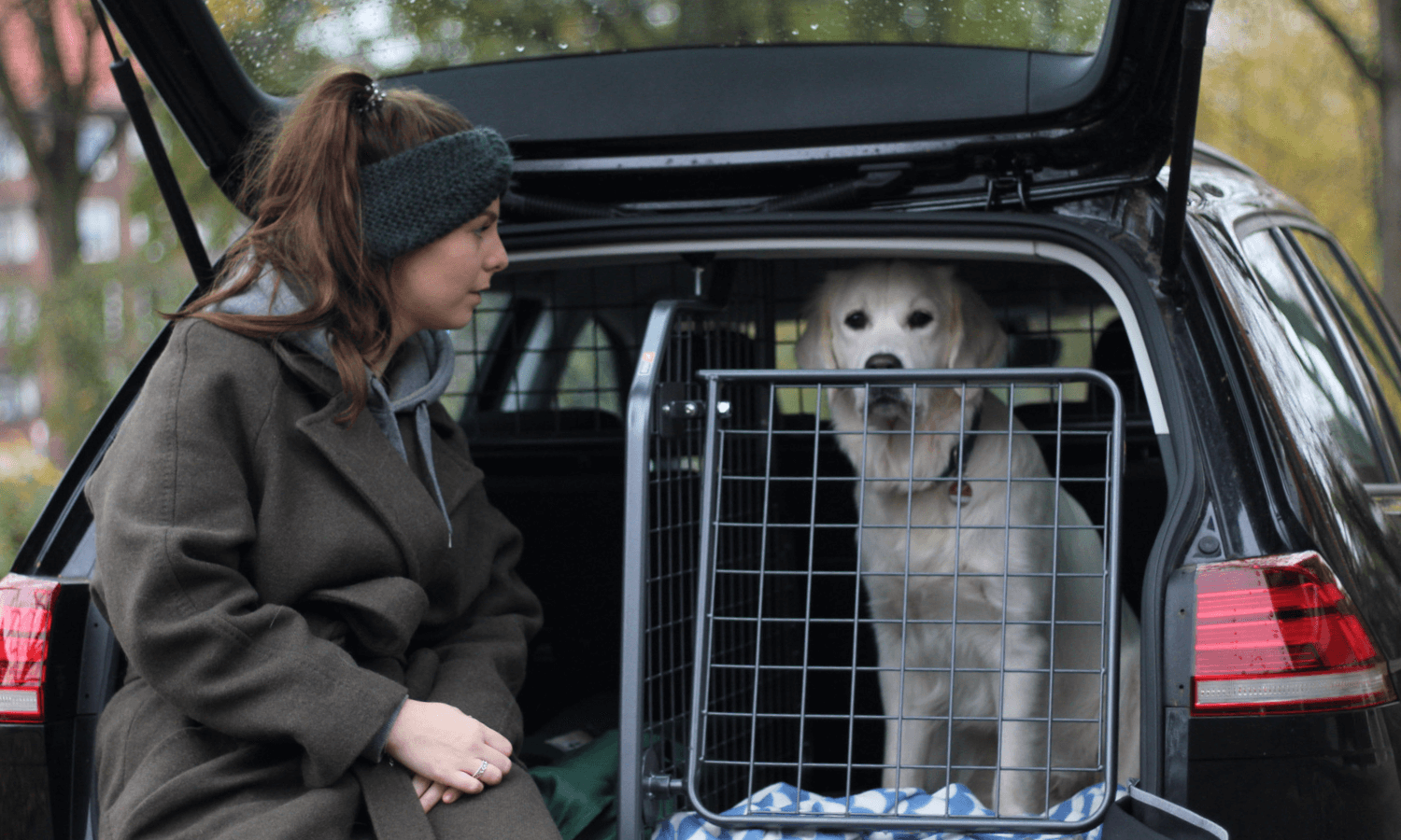 Hunde im Auto sichern mit Travall Hundegitter und Heckgitter