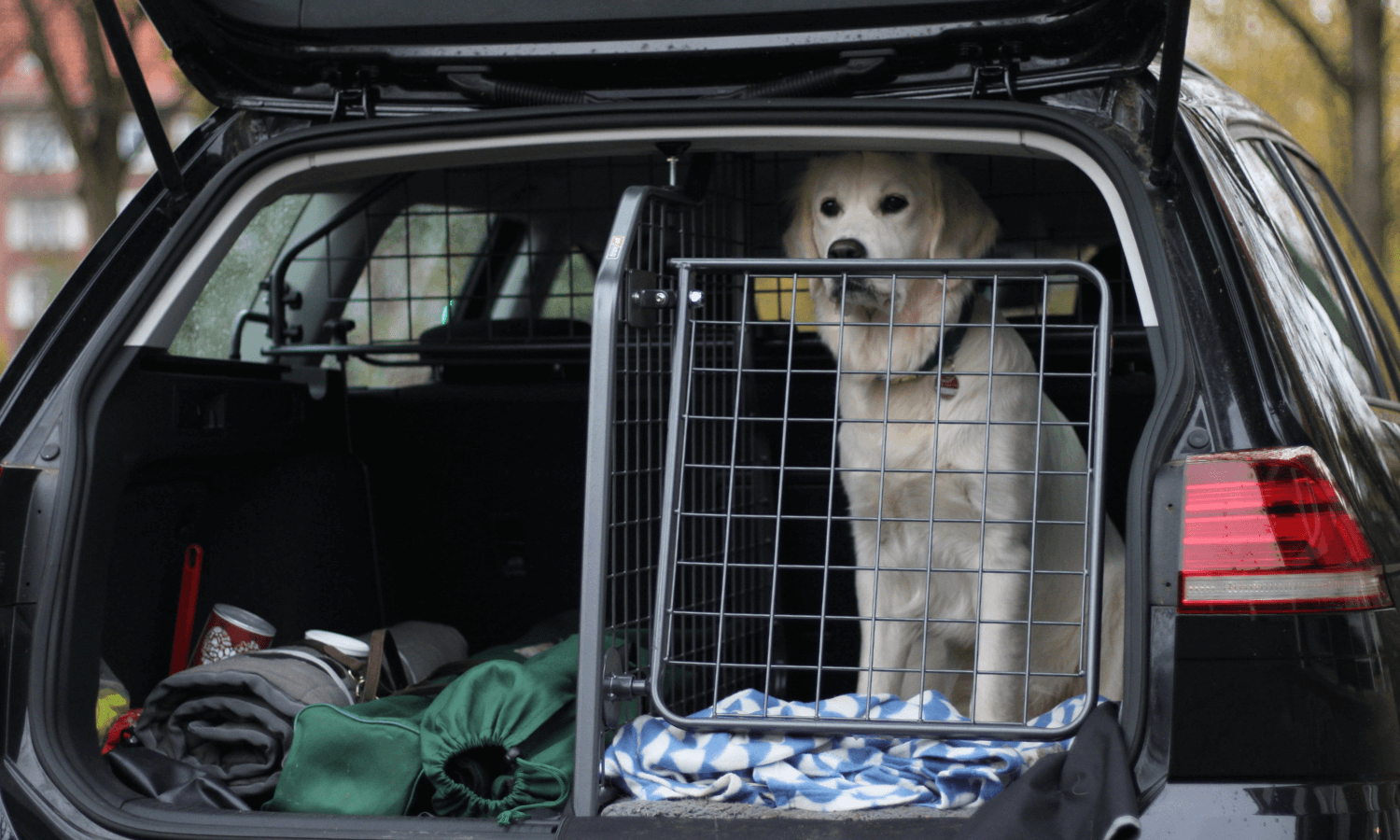 Travall fertigt Heckgitter für Hunde im Auto. Man kann entweder eine oder zwei Gittertüren nachrüsten. © Travall