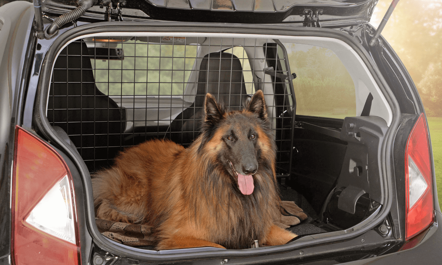 Travall bietet fahrzeugspezifische Hundegitter für VW Up!, SEAT Mii und Skoda Citigo, mit dem man einen großen Hund im Kofferraum transportieren kann. © Travall