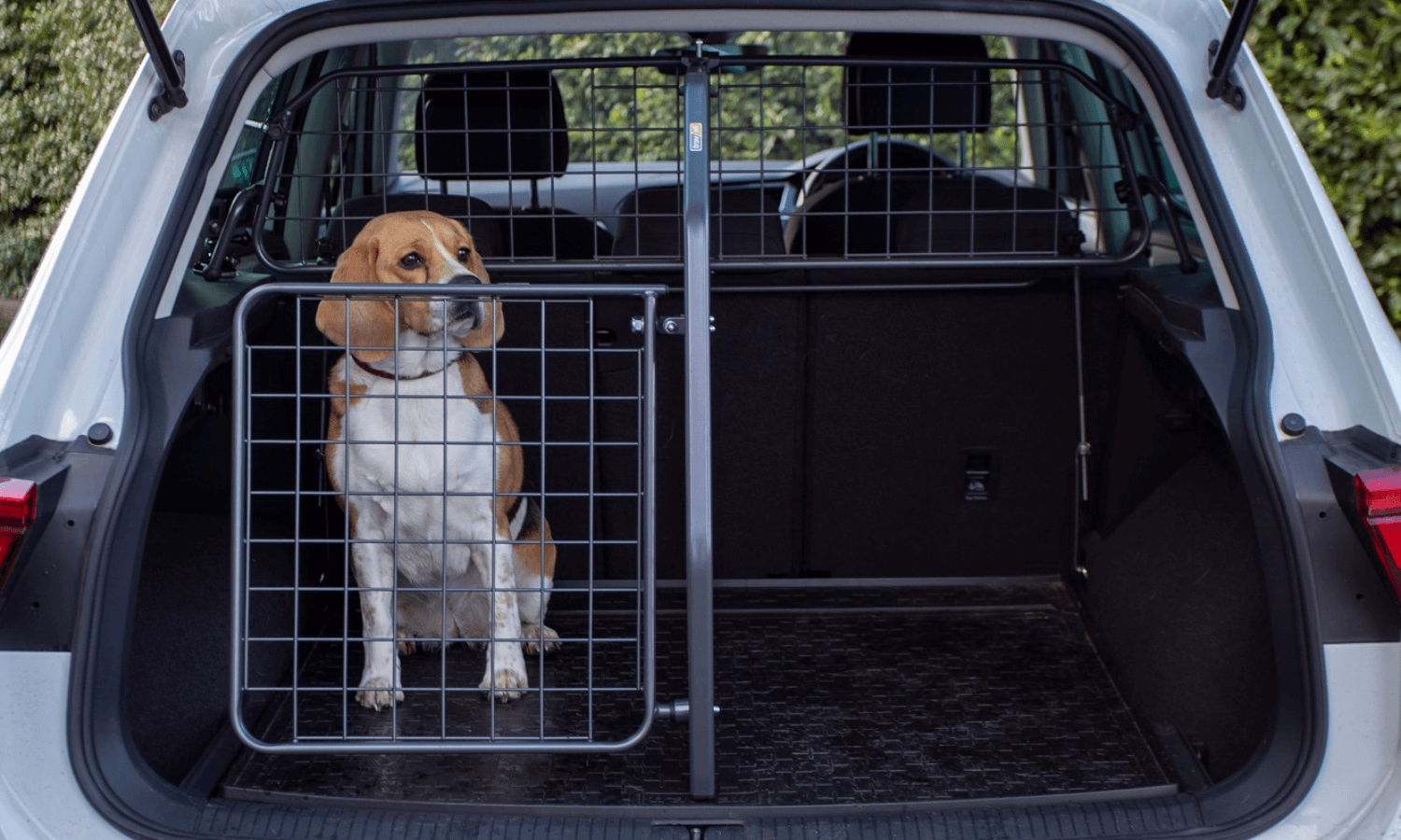 Mit einem Hundegitter, Kofferraumteiler und Heckgitter von Travall ist der Beagle im Kofferraum des VW Tiguan sicher untergebracht. © Travall