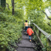 Auf zum Abenteuerspielplatz: Aktivitäten für Kinder im Wald