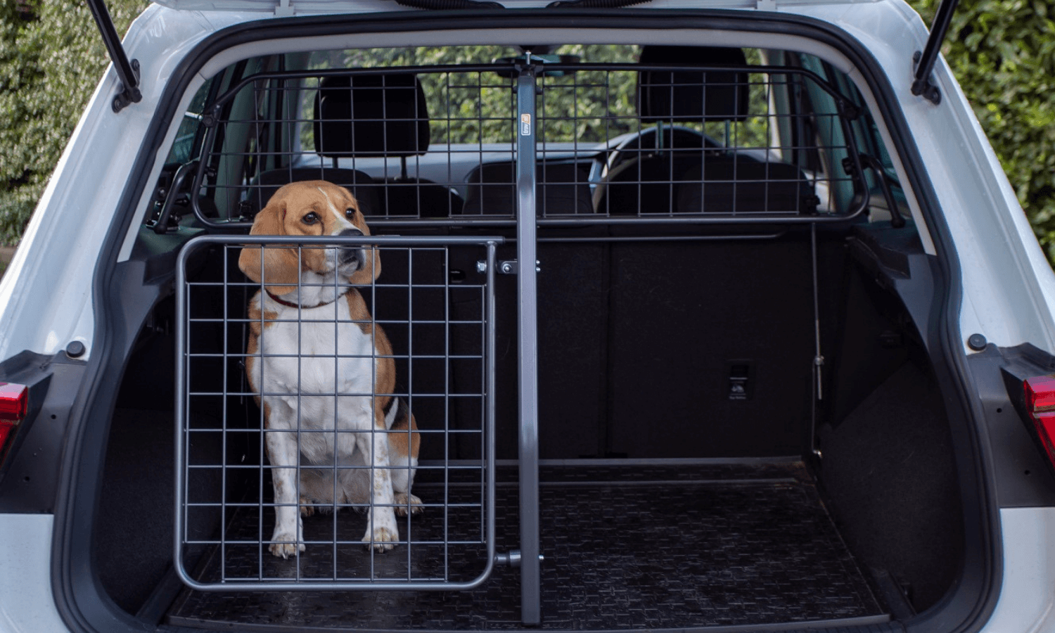 Praxistest: Hundegitter Set für das Auto von Travall