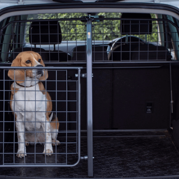 Travall TailGate Heckgitter Das Abenteuer beginnt, wenn ihr bereit