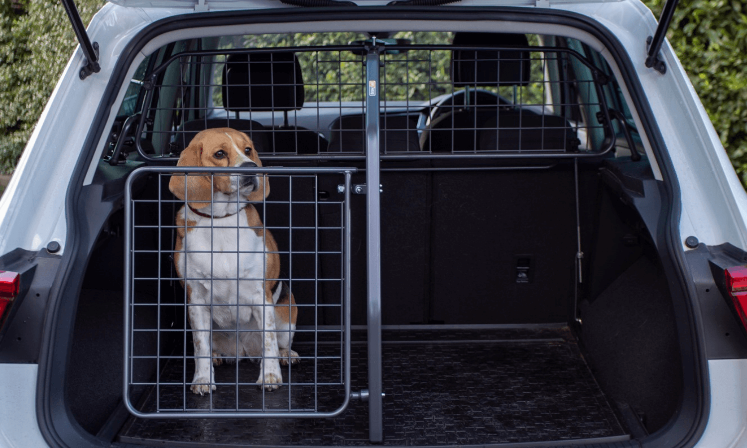 Wie Groß Muss Eine Hundebox Für Einen Schäferhund Sein 3 Gründe, warum das Travall TailGate Heckgitter eine sinnvolle