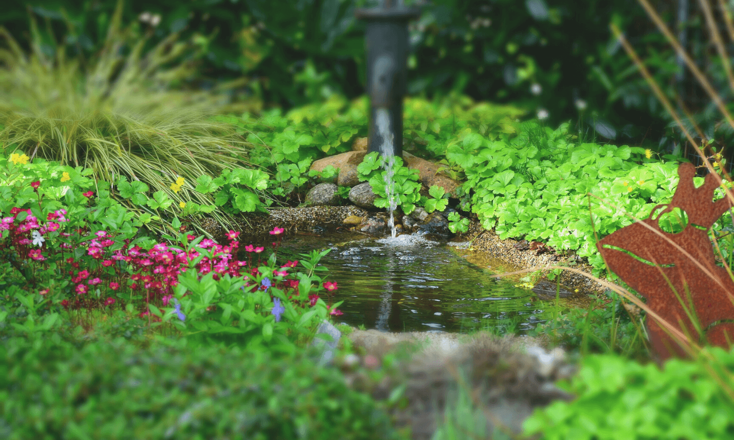 Im Juli sollten Algen im Gartenteich entfernt werden, damit sich Wasserpflanzen, Fische und Frösche wohlfühlen. © Pixabay.com