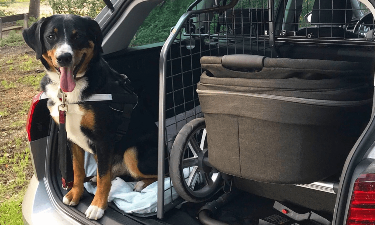 Mit dem Divider kann man den Hund auf der einen und Kinderwagen, Taschen oder weiteres Gepäck auf der anderen Seite des Hecks unterbringen. © Travall