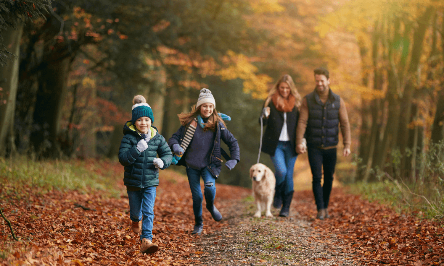 Eine Familien geht am Wochenende mit Kindern und Hund im Wald spazieren. Die Bäume sind herbstlich gefärbt. © iStock.com