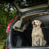 5 Gründe, warum das Travall Guard Hundegitter besser ist als ein Universalgitter