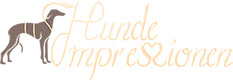 Logo Hunde-Impressionen Shop