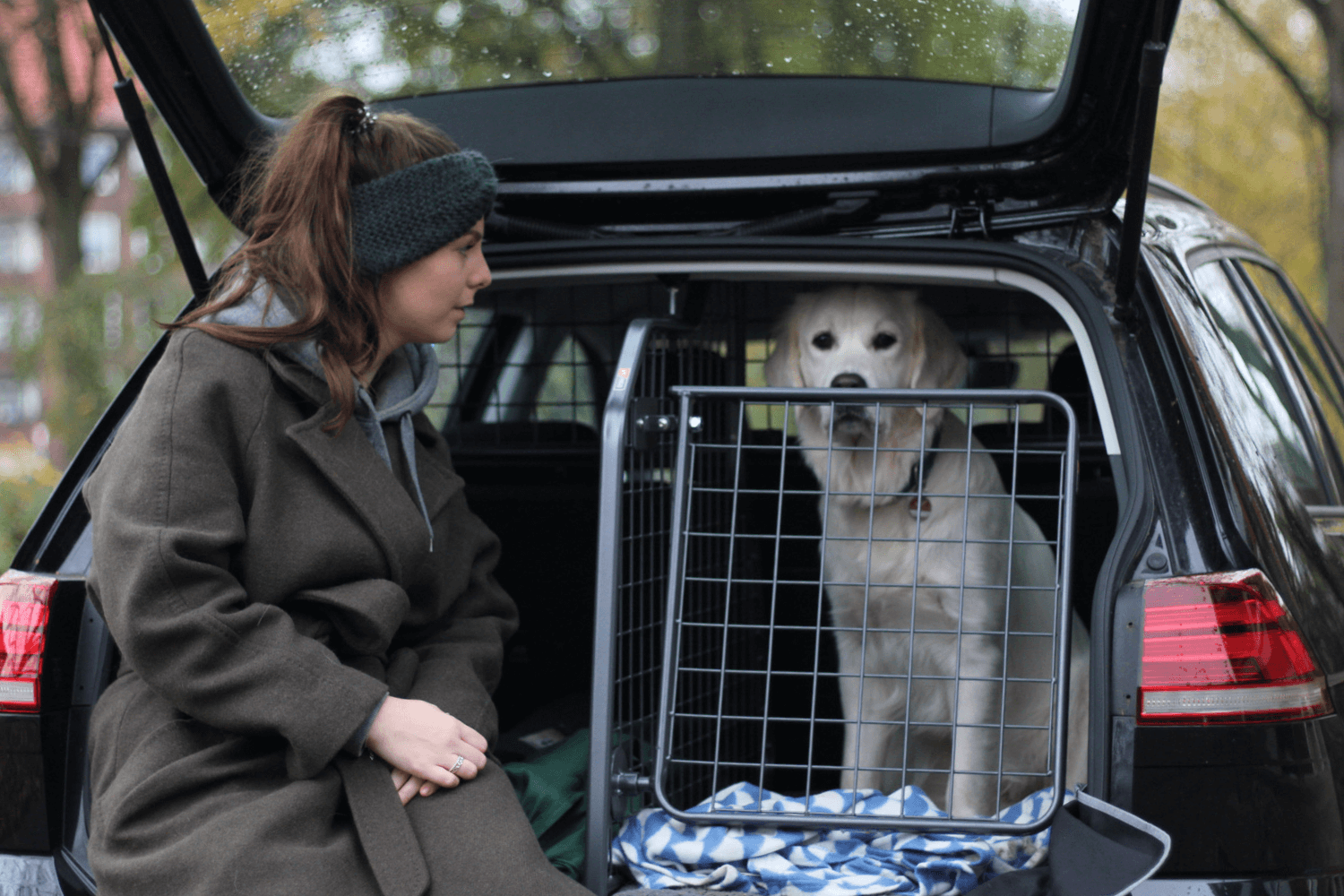 Wenn man Hunde im Auto sichern möchte, kann man eine Hundebox nutzen oder - wie im Bild gezeigt - ein Hundegitter mit Kofferraumteiler und Heckgitter. © Travall