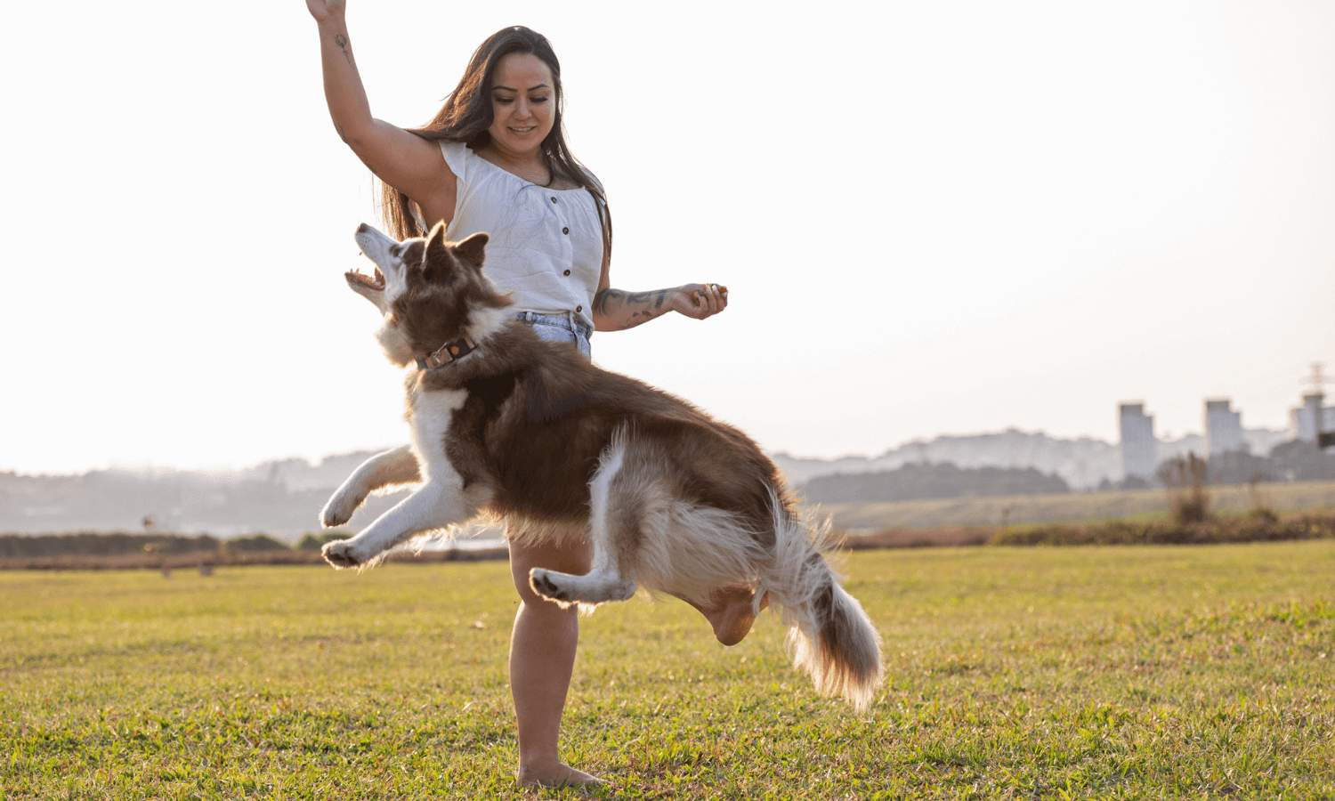 Eine Frau übt mit ihrem Hund Dog Dancing aus, Der Hund springt über ihr ausgestrecktes Bein. © iStock.com