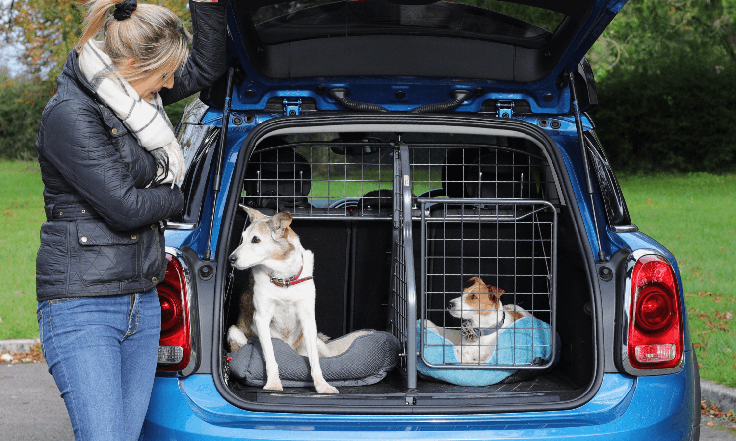 Hundegitter, Divider und Heckgitter: Vorteile gegenüber einer Hundebox -  Travall Blog