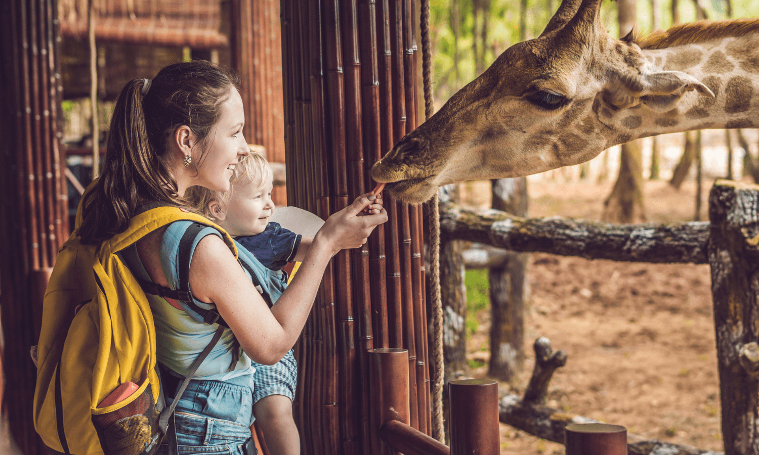 Tagesausflüge in den Zoo kommen bei Kindern besonders gut an. Auf dem Foto füttern Mutter und Kind eine Giraffe. © iStock.com