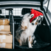 Travall Packs: das Auto für die Weihnachtsausflüge ausstatten und 10% sparen