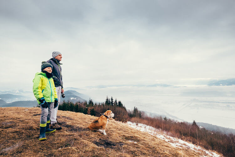 Winter activities with dogs why getting active will change your life