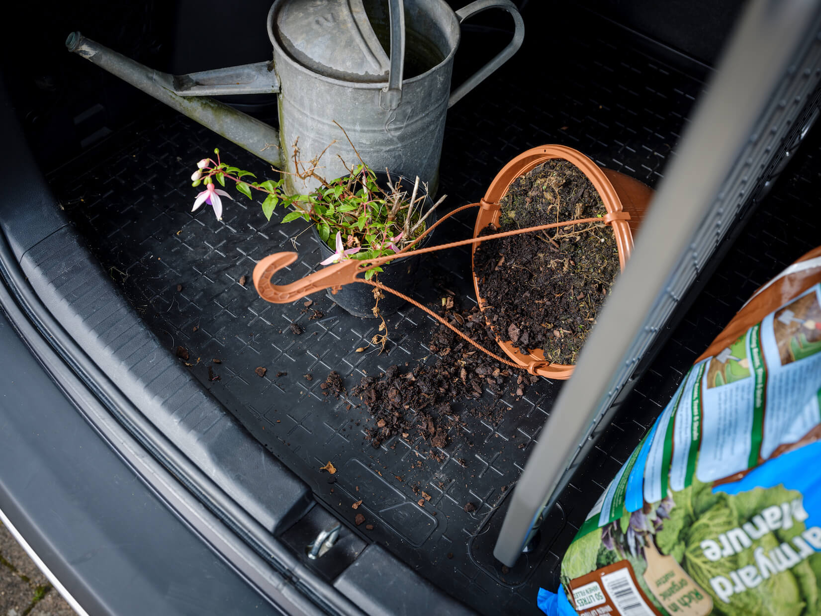 what to plant now, hanging basket and Travall Liner