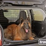 Dog guard for Volkswagen UP!: make boot envy a thing of the past