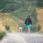 Thunderstorms and lightning: tips to help a frightened dog