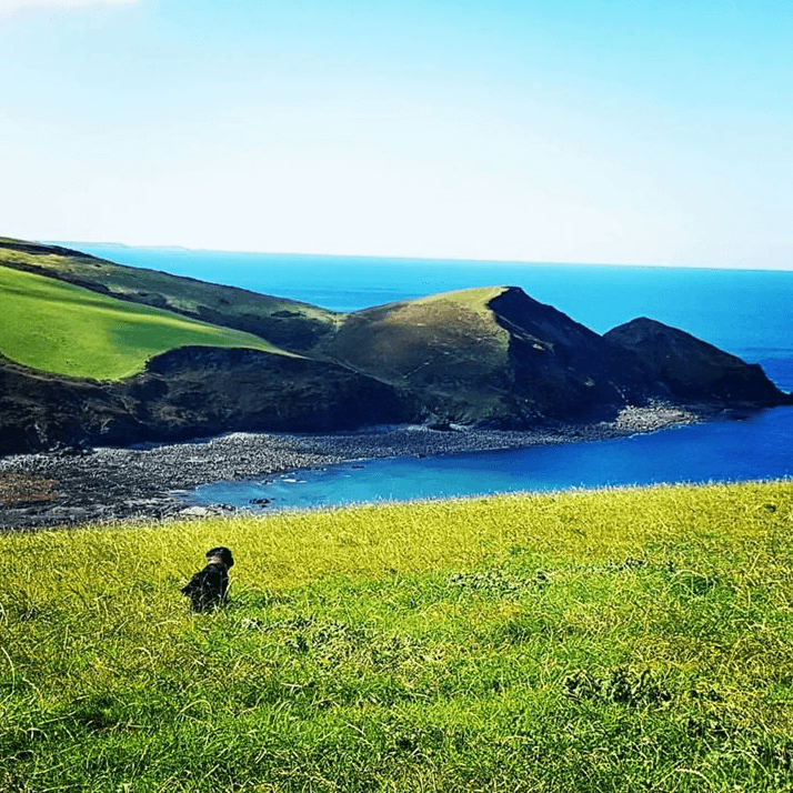 Dog-friendly holiday on the stunning North Cornwall coastline