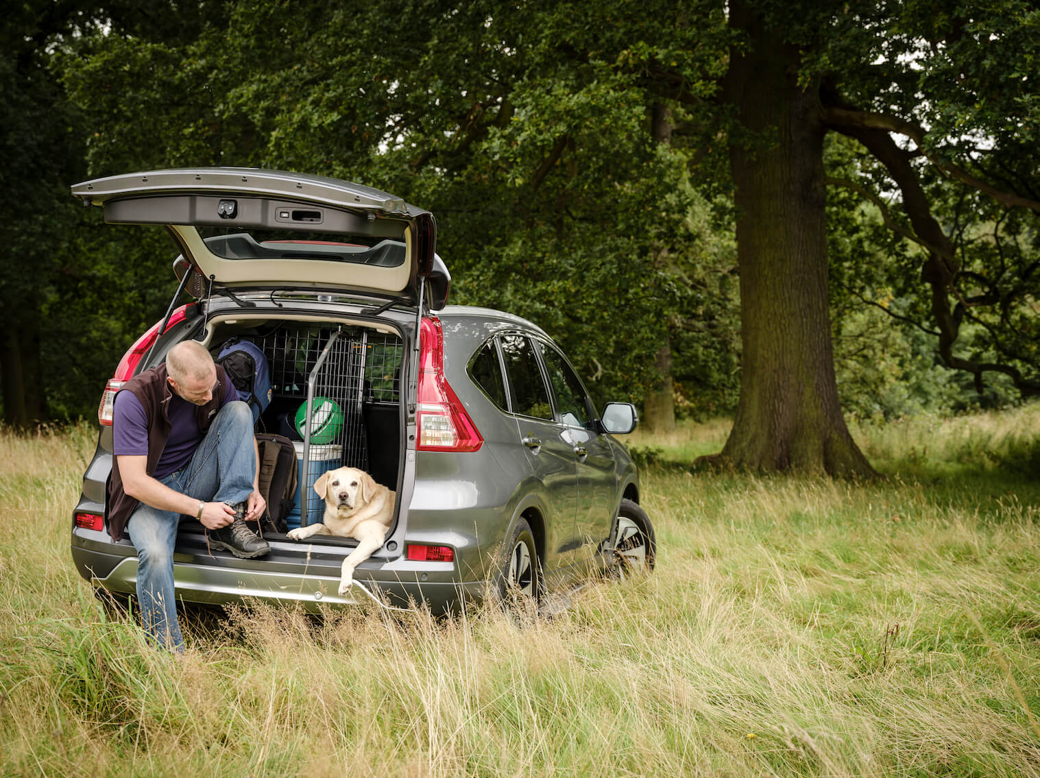 Man dog with Travall products including bumper protector