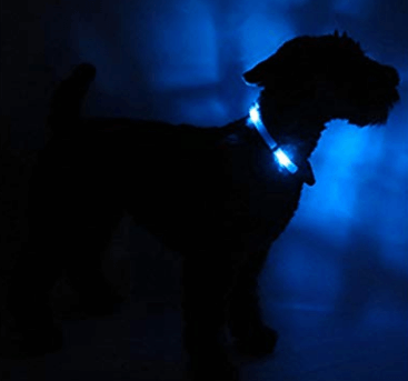 Winter accessories for dogs glow in the dark collar