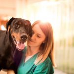 Dogs as blood donors: how your dog could save a life